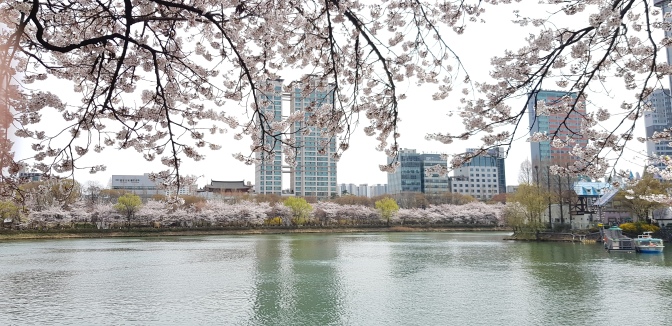 Frühling 2019 in Seoul